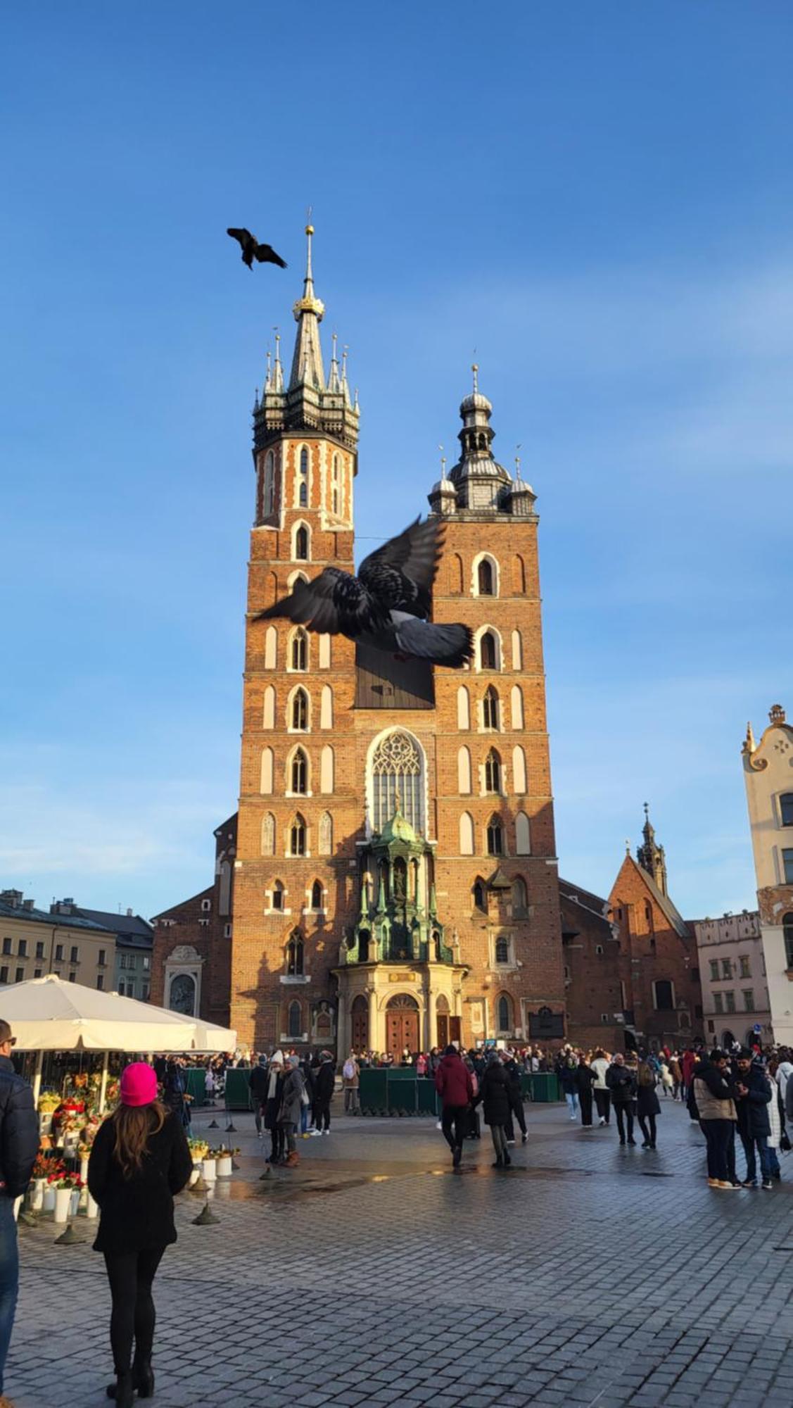 Ap4You Tauron Cracow كراكوفيا المظهر الخارجي الصورة
